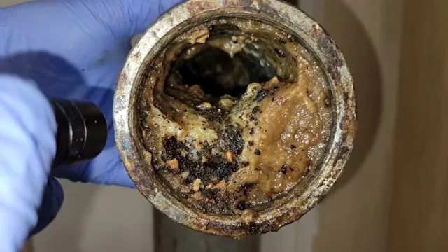 Blue-gloved hand holding a cut length of cast iron pipe with scale built up inside