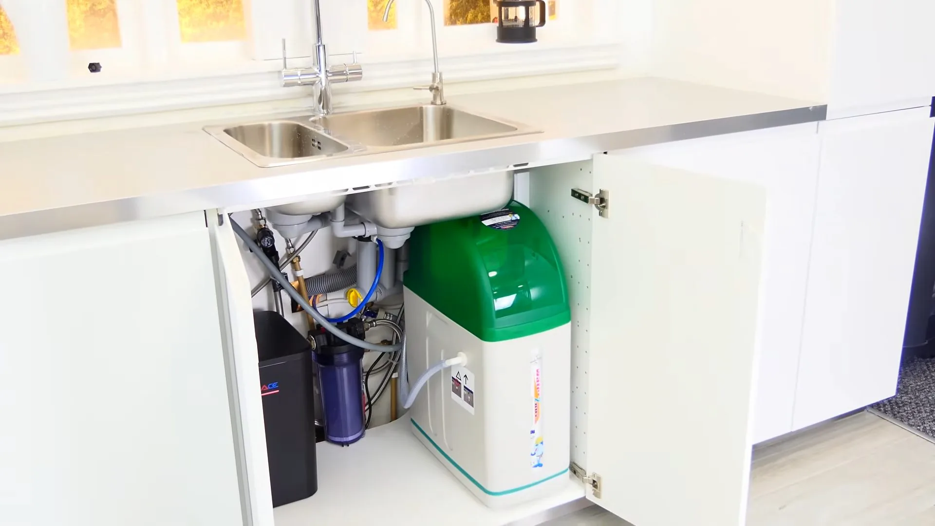 Open white cabinet under a double sink holding a small RO unit and a green softener
